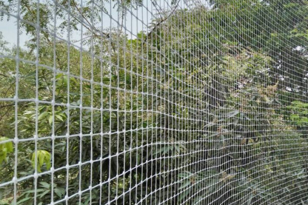 Bird Safety Nets in Hyderabad